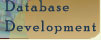 Database Development